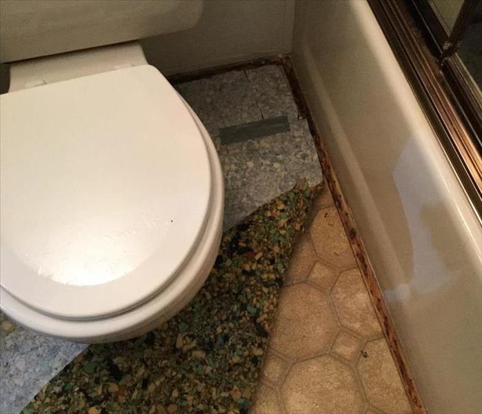 Toilet and water Damage 